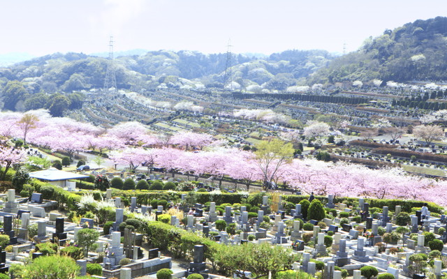 鎌倉霊園の画像1